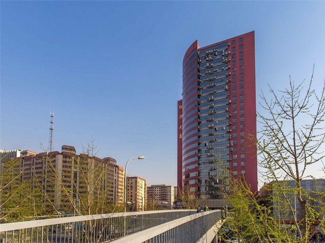 包装版式设计服务方案